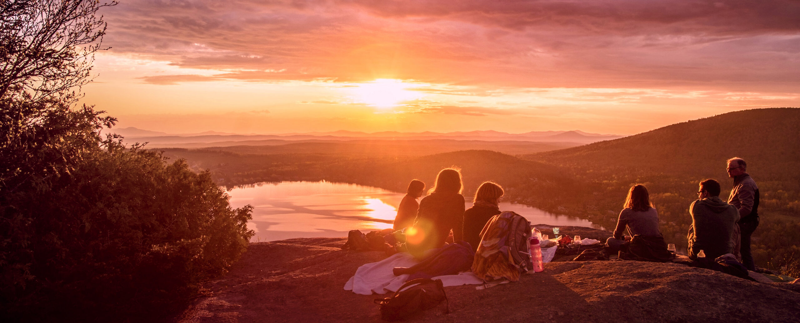 Expert Estate & Financial Planning <span class="text-gradient-text-vesta">Tailored to You</span> Expert Estate & Financial Planning <span class="text-gradient-text-vesta">Tailored to You</span>